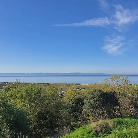Kiralik Egenin Incisi Saros'ta Keşan